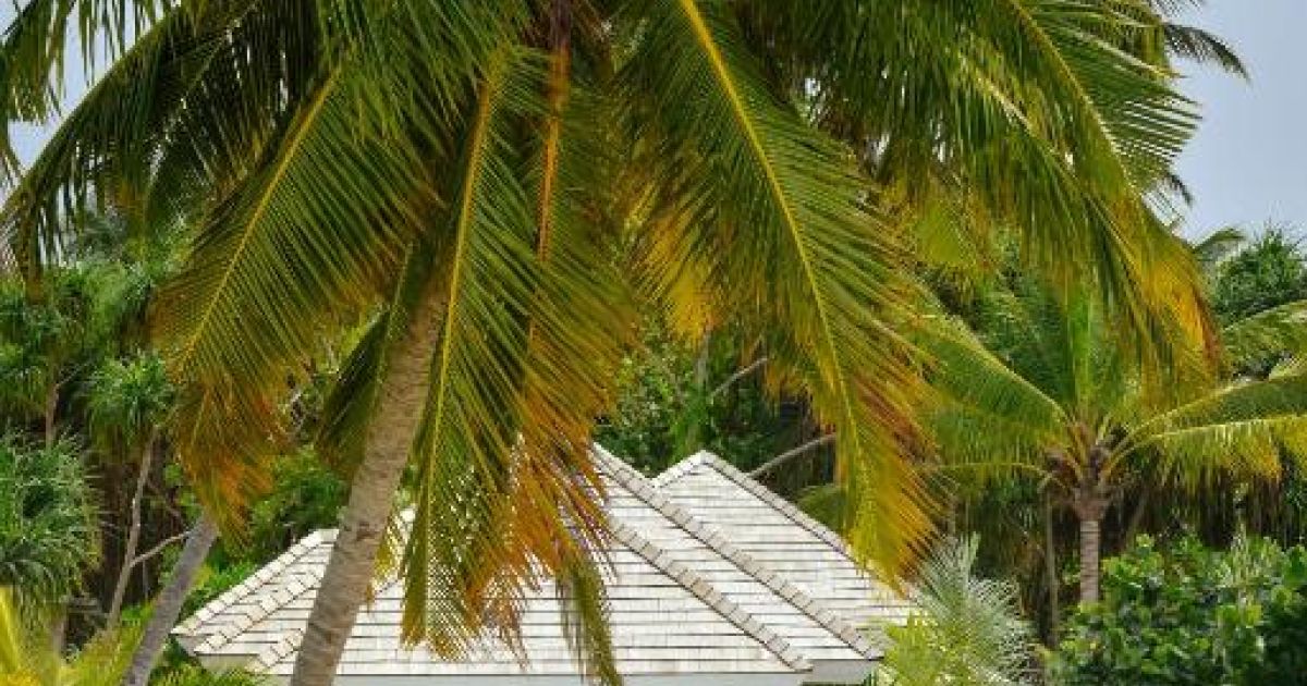 Нова Година Малдиви Kandima Maldives 5* 8