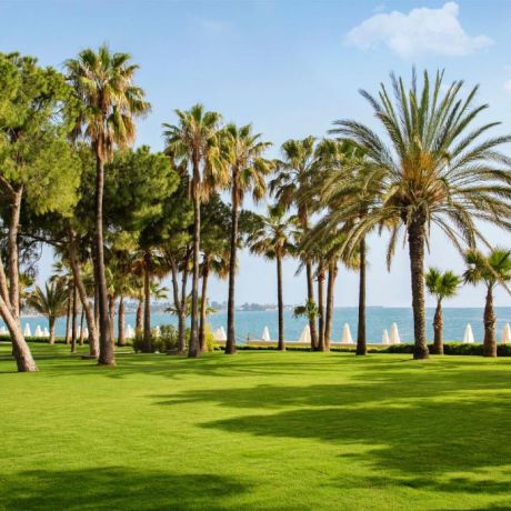 Супер лукс в Acanthus Cennet Barut Collection, Сиде 4
